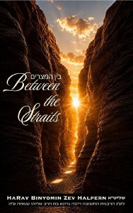 Picture of Between the Straits [Paperback]